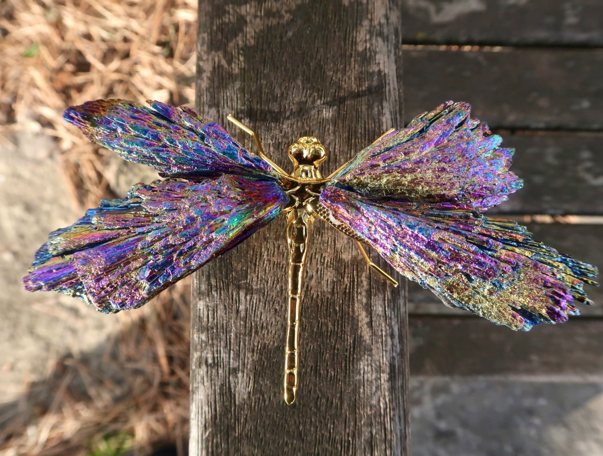 Aura Tourmaline Kyanite Dragonfly