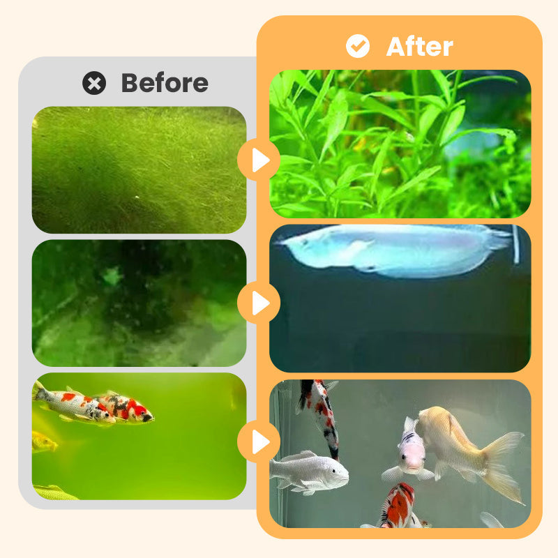 🎉Buy More Save More💥 Algae & Moss Remover for Fish Tank - Safe Water Purification